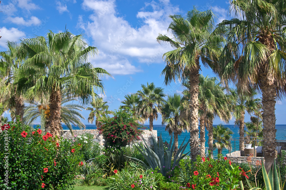 Palm trees and mirabilis jalapa flowers with blue sky and sea on background