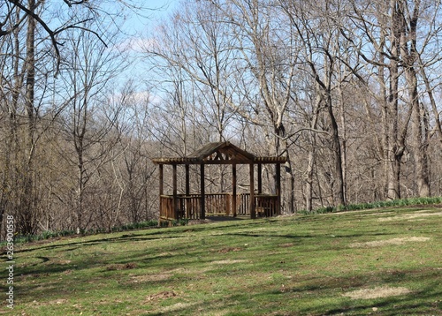 A brown wooden gazebo in the garden in the park.