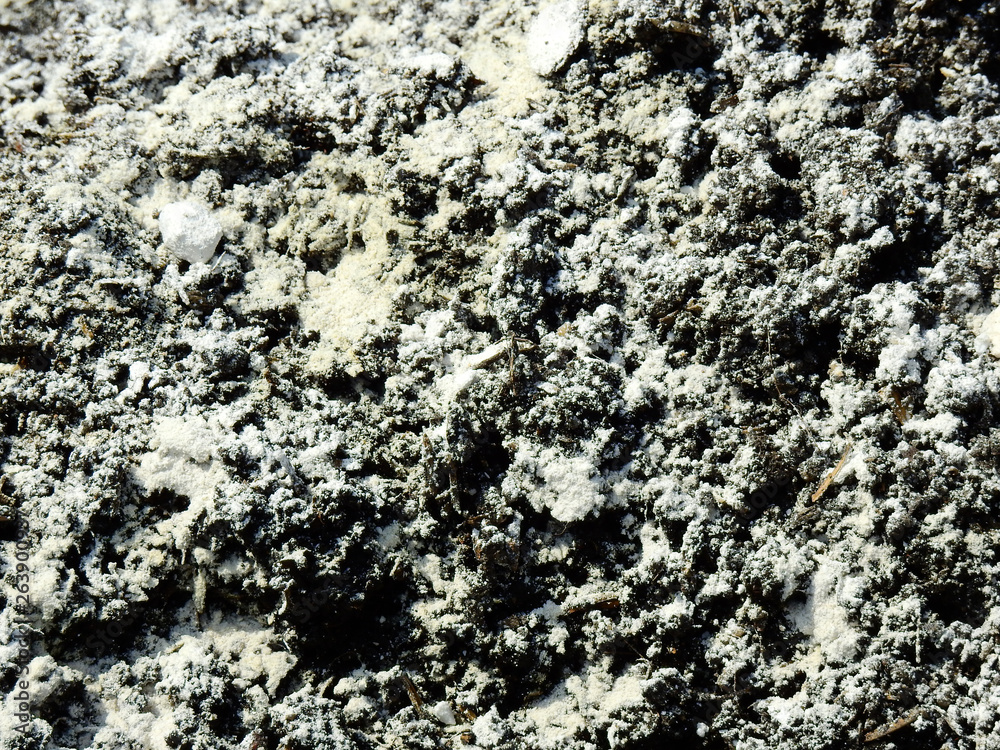 powder of lime to adjust the acid level in soil powder of lime to adjust the acid level in soil