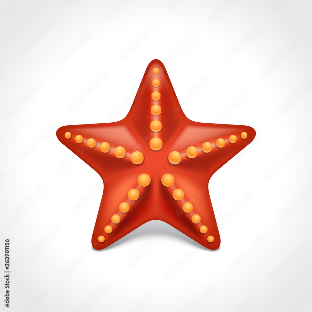Red sea star starfish vector illustration isolated on white Red sea star starfish vector illustration isolated on white
