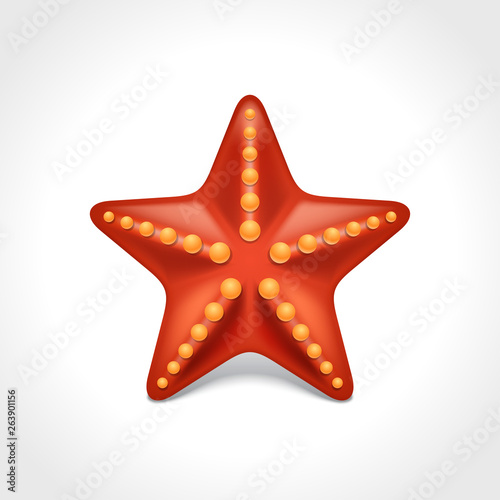 Red sea star starfish vector illustration isolated on white