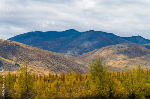 Autumn Forest In A Sunny Day in russia.