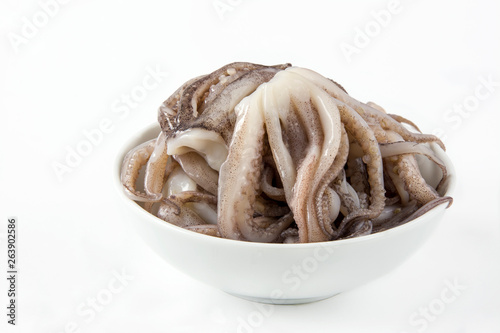 Raw squid tentacles in a bowl on white background