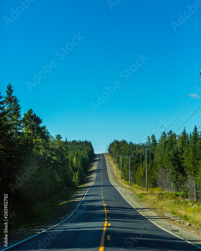 Long Road North