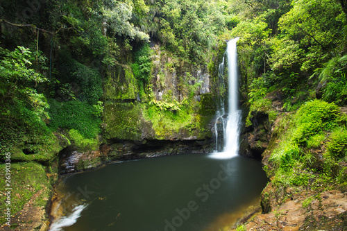 Beautiful Green Kaiate Falls  New Zealand