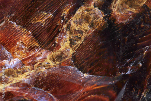 Wallpaper Mural wooden opalite mineral texture Torontodigital.ca