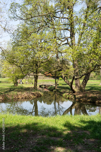 Small canal with running water, big trees and green grass in springtime