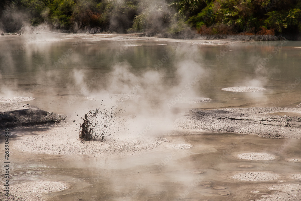 Mud Pool at Wai-O-Tapu Geothermal Area near Rotorua, New Zealand Mud Pool at Wai-O-Tapu Geothermal Area near Rotorua, New Zealand