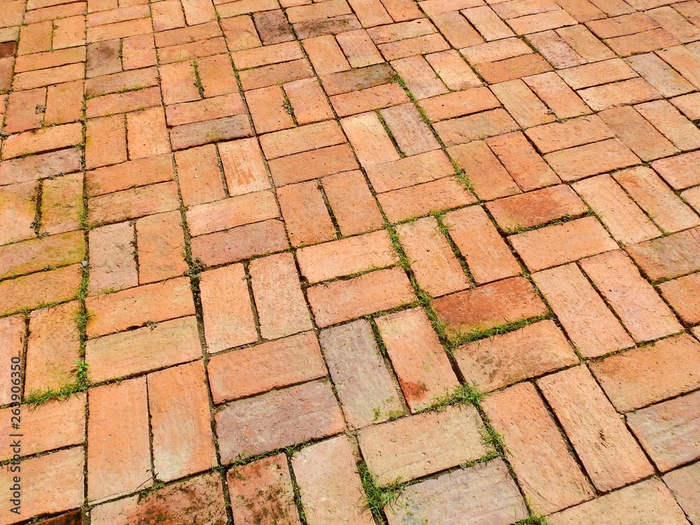 brick pavement floor with grass texture