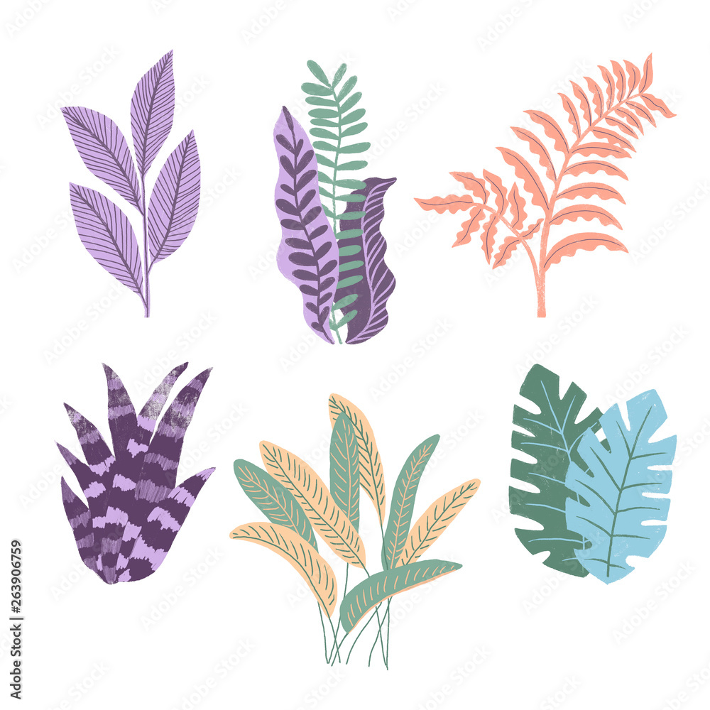 Tropical plants. Summer vacation. Different tropical leaves on white background