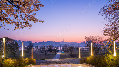 Photography Han River Twilight Sky With Cherry Blossom At Yeouido,Seoul South Korea