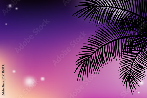 Summer tropical backgrounds with palms and sunset sky.