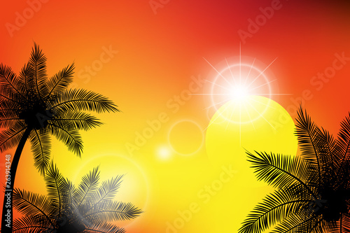 Fototapeta Naklejka Na Ścianę i Meble -  Summer tropical backgrounds with palms, sky and sunset.