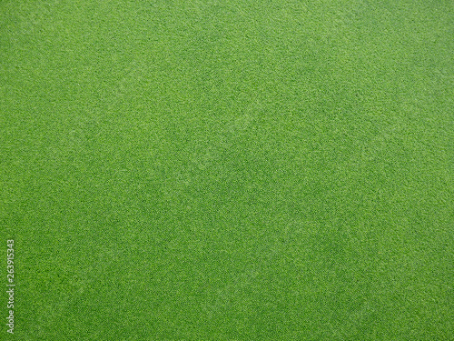 green duckweed on water photo