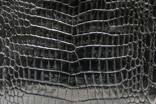Glossy black crocodile skin texture background.