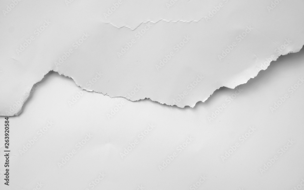 torn white paper texture