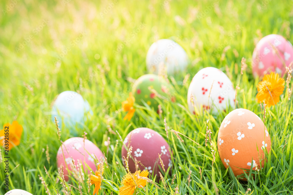 Fototapeta premium Happy easter! Closeup Colorful Easter eggs in nest on green grass field during sunset background.