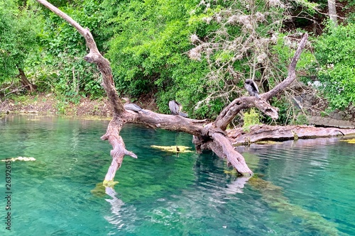 San Marcos