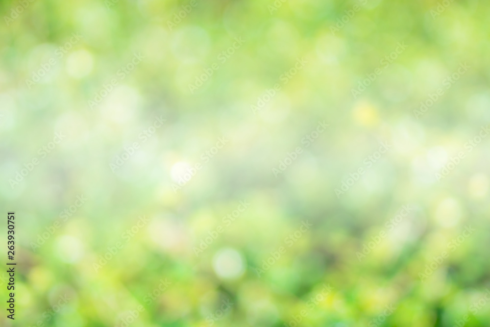 Greenery abstract background. Blurred and defocus effect for spring concept design . Greenery abstract background. Blurred and defocus effect for spring concept design .