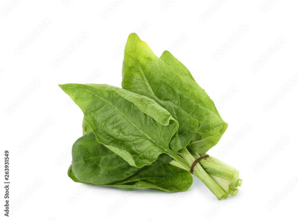 Bundle of fresh spinach isolated on white Bundle of fresh spinach isolated on white