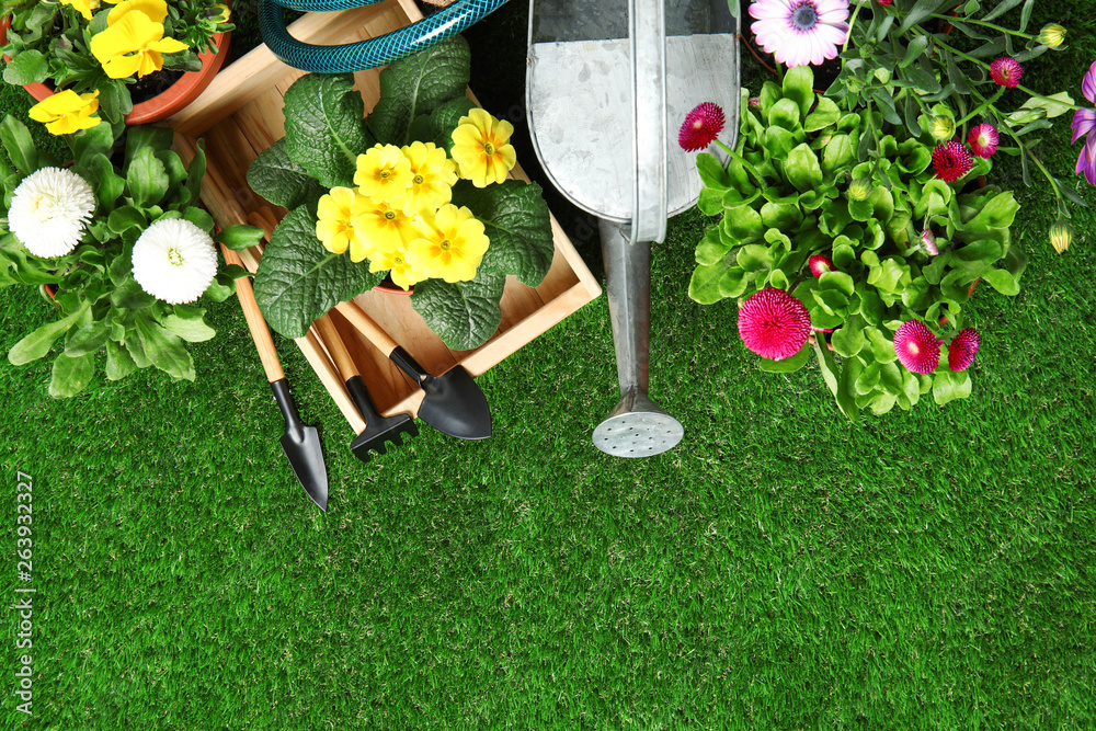 Flat lay composition with gardening equipment and flowers on green grass - obrazy, fototapety, plakaty 