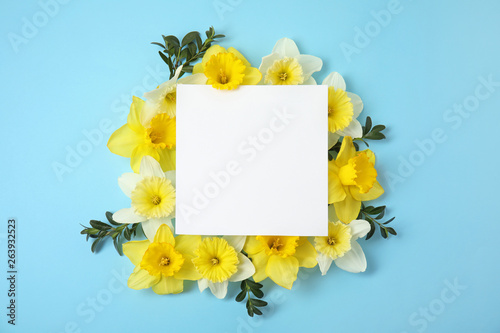 Fototapeta Naklejka Na Ścianę i Meble -  Flat lay composition with daffodils and card on color background, space for text. Fresh spring flowers