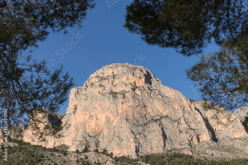 Montaña rocosa enmarcada por árboles en primer plano