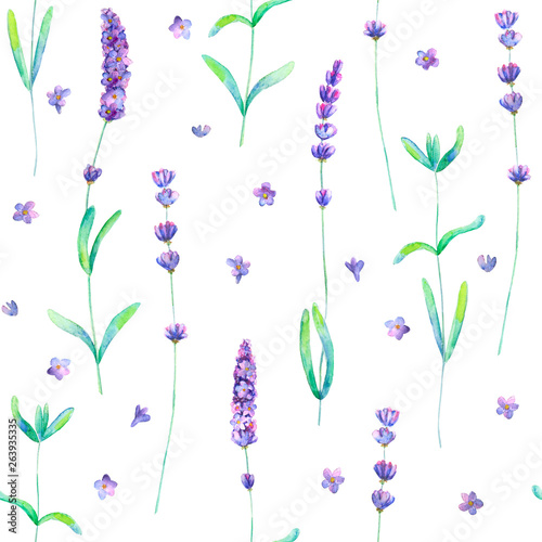 Lavender flowers, leaves an...