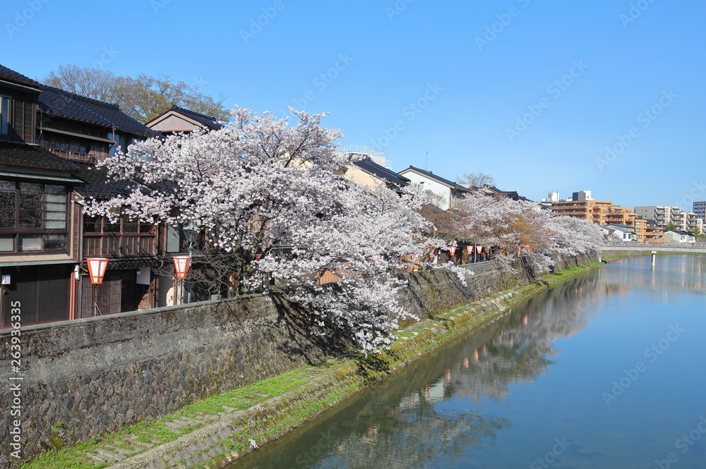 Φωτογραφία Japanese cherry blossom and Higashiyama teahouse district old houses Kanazawa Ja