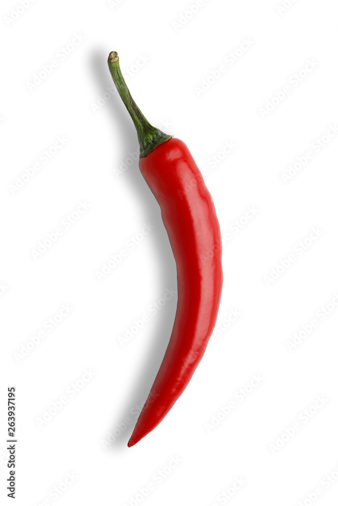 isolated shot of a single red chilli isolated shot of a single red chilli