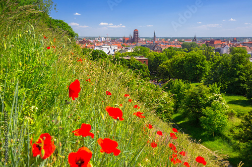 Beautiful architecture of the old town in Gdansk with red poppy flowers, Poland photo