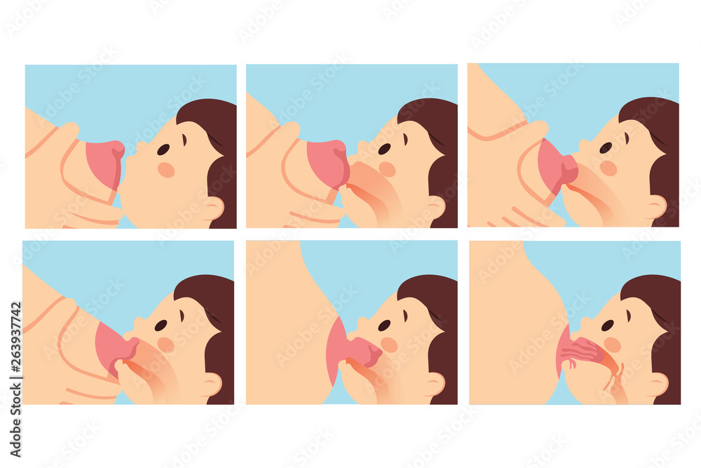 vector illustration steps by steps breastfeeding a baby, different position breast feeding baby, lactation baby milk - obrazy, fototapety, plakaty 