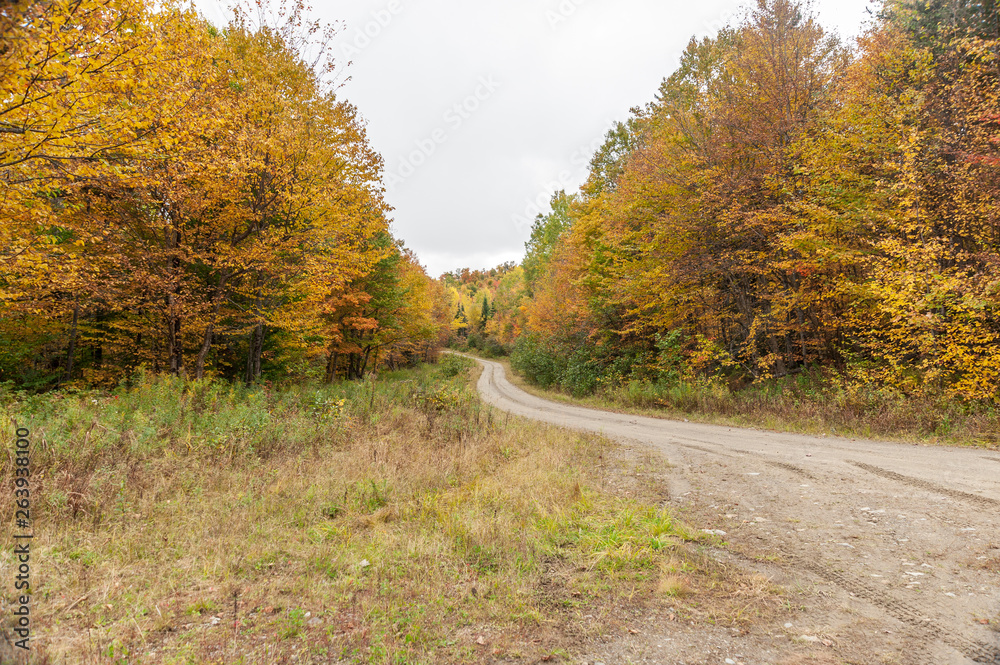 Dirt road curving through New Hampshire woods Dirt road curving through New Hampshire woods