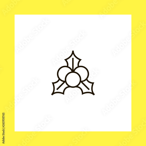 holly berry vector icon. flat design