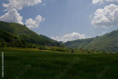 Schwäbische Alb im Frühling