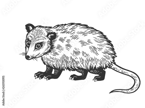 Opossum animal sketch engraving vector illustration. Scratch board style imitation. Black and white hand drawn image. photo