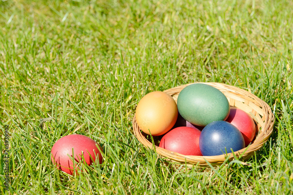 Easter eggs in the basket on meadow