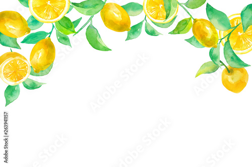 レモンと葉のアーチ型フレーム 水彩イラスト Stock Illustration Adobe Stock