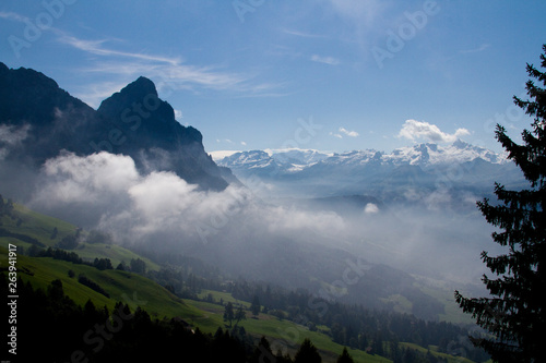 Morgennebel in den schweizer Alpen