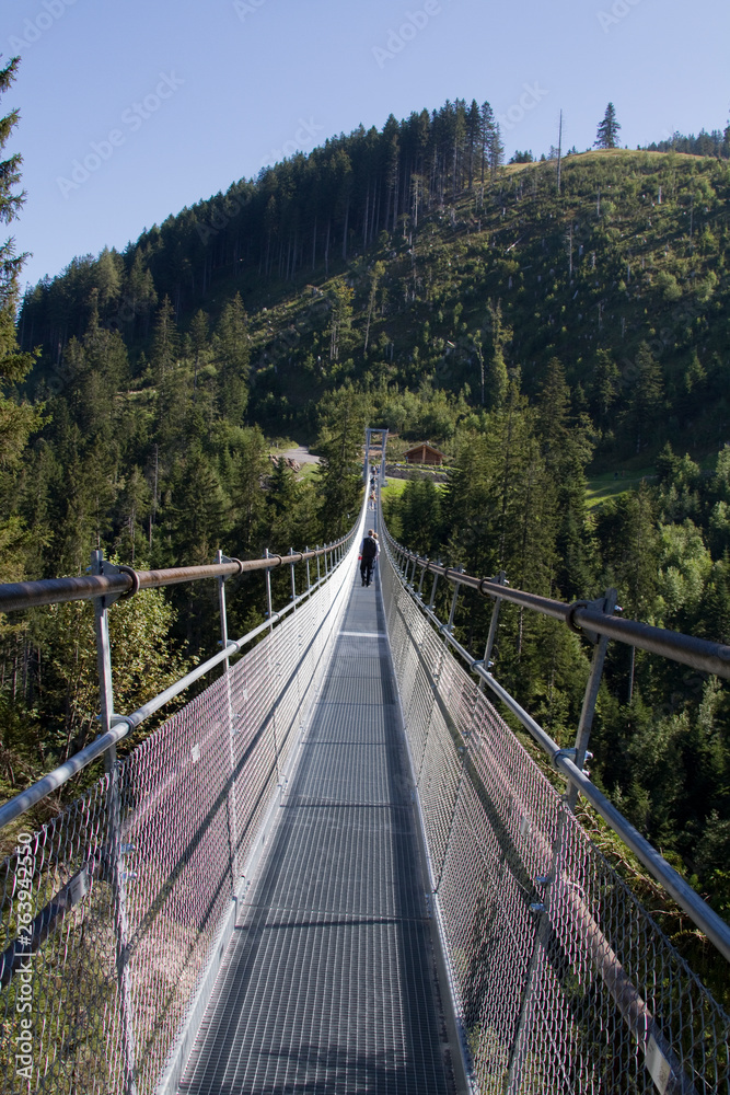 Hängebrücke in der Schweiz