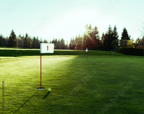 A hit on the golf course is associated with precision, wealth and practice. Characteristics which are important topics in the management and which are also transferred with this picture.