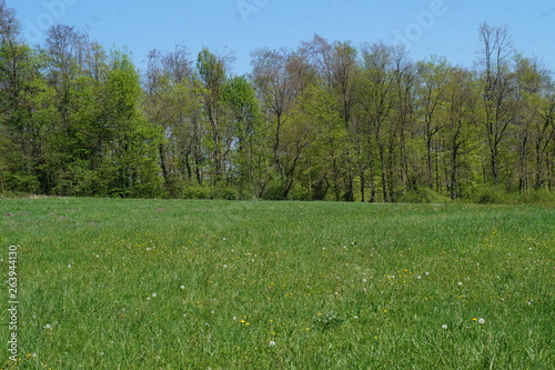 european landscape