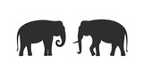 Elephant silhouette. Isolated elephant on white background