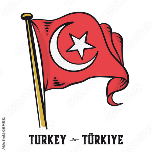 Vintage engraving style turkish flag vector