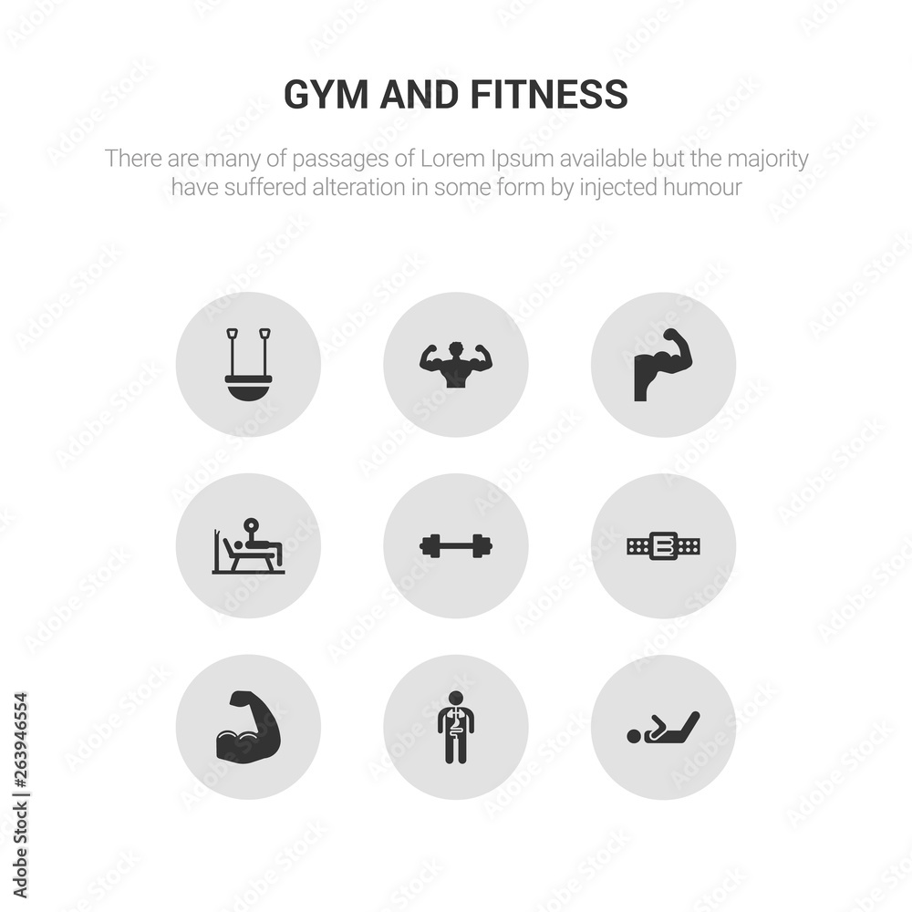9 round vector icons such as abs, anatomy, arm, athletic strap, barbell contains bench press, biceps, bodybuilder, bosu ball. abs, anatomy, icon3_, gray gym and fitness icons
