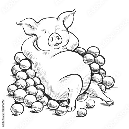 Contour Line Drawing. Coloring for kids. A series of postcards with a piggy. Proverbs and sayings. As a pig in oranges. A fat pig lies among oranges on the grass. Cute funny piggy.