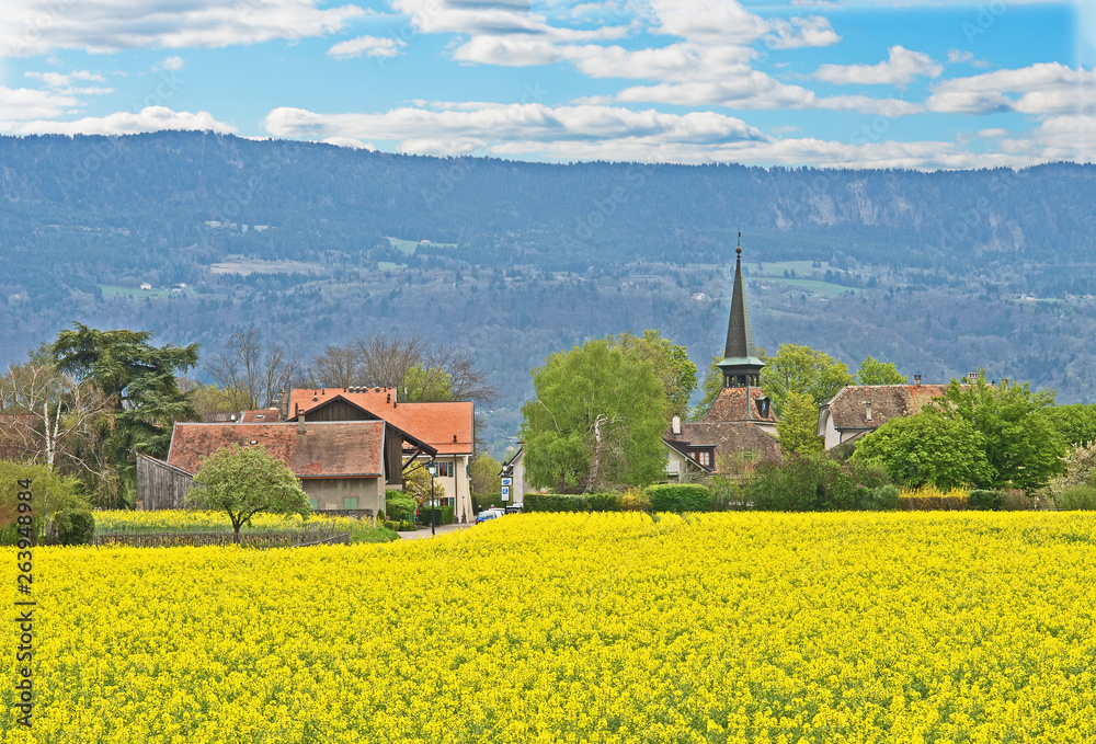 The village of Jussy in the Canton of Geneva, Switzerland, with its church at the center can be seen across a field of rapeseed.