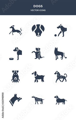 12 dogs vector icons such as dachshund dog, dalmatian dog, doberman dog, english setters field spaniel contains fox terrier german shepards goldador golden retriever great dane great pyrenees icons