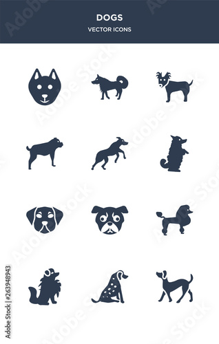 12 dogs vector icons such as plott hound dog, pointer dog, pomeranian dog, poodle pug contains puggle pumi rhodesian ridgeback rottweiler russian toy samoyed icons