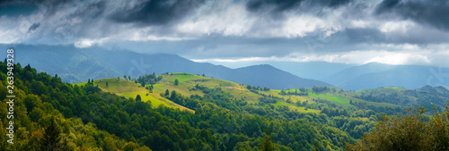 Beautiful picturesque summer landscape in the Carpathian mountains, Borzhava ridge, in the Transcarpathian region, Ukraine.
